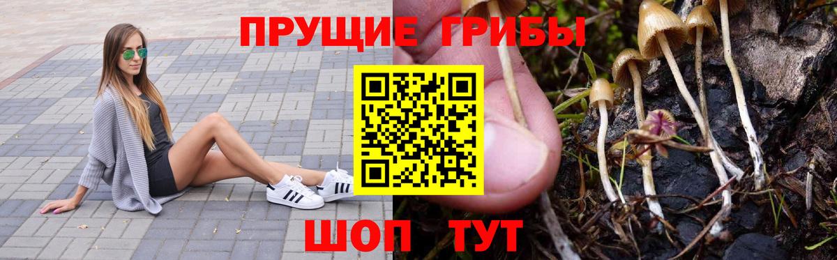 Галлюциногенные грибы GOLDEN TEACHER Гулькевичи